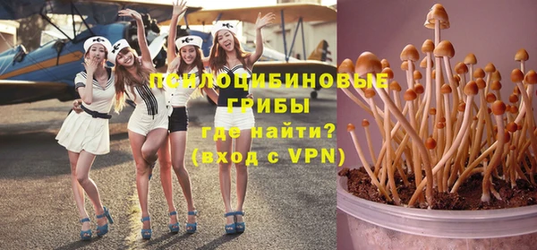 a pvp Беломорск