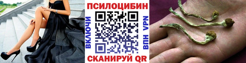 Псилоцибиновые грибы прущие грибы  Очёр 